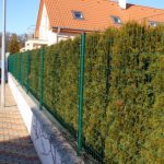 Műanyag bevonatú acél drótháló kerítés 1,8 x 30m, vastagság 1,5 mm 